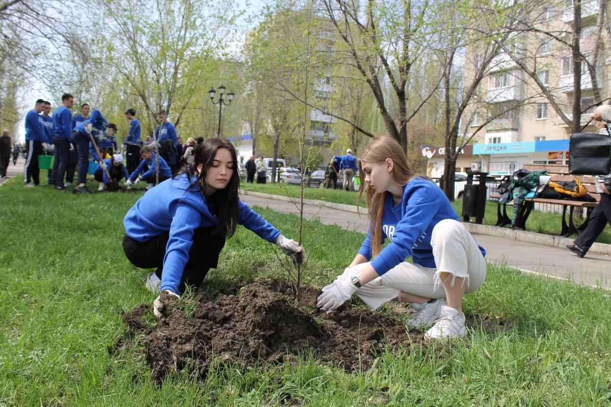 Волонтерское движение. Фото 8